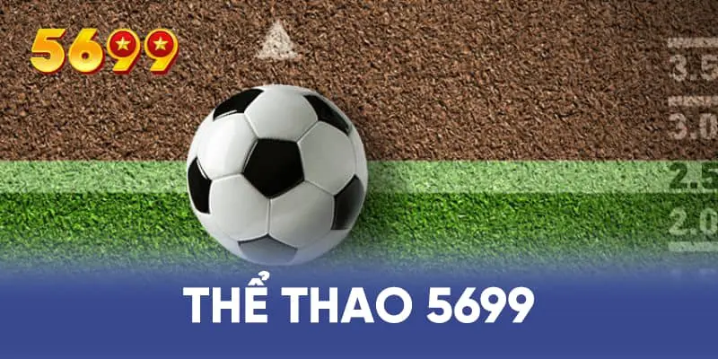 Thể thao 5699